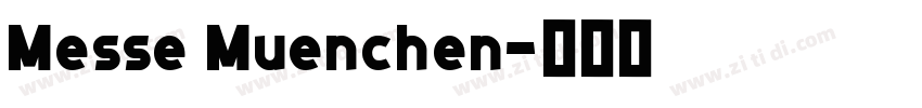 Messe Muenchen字体转换